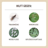 thumbnail of Substral Naturen Bio Gelbstecker insektizidfreie Leimfallen  15 Stück