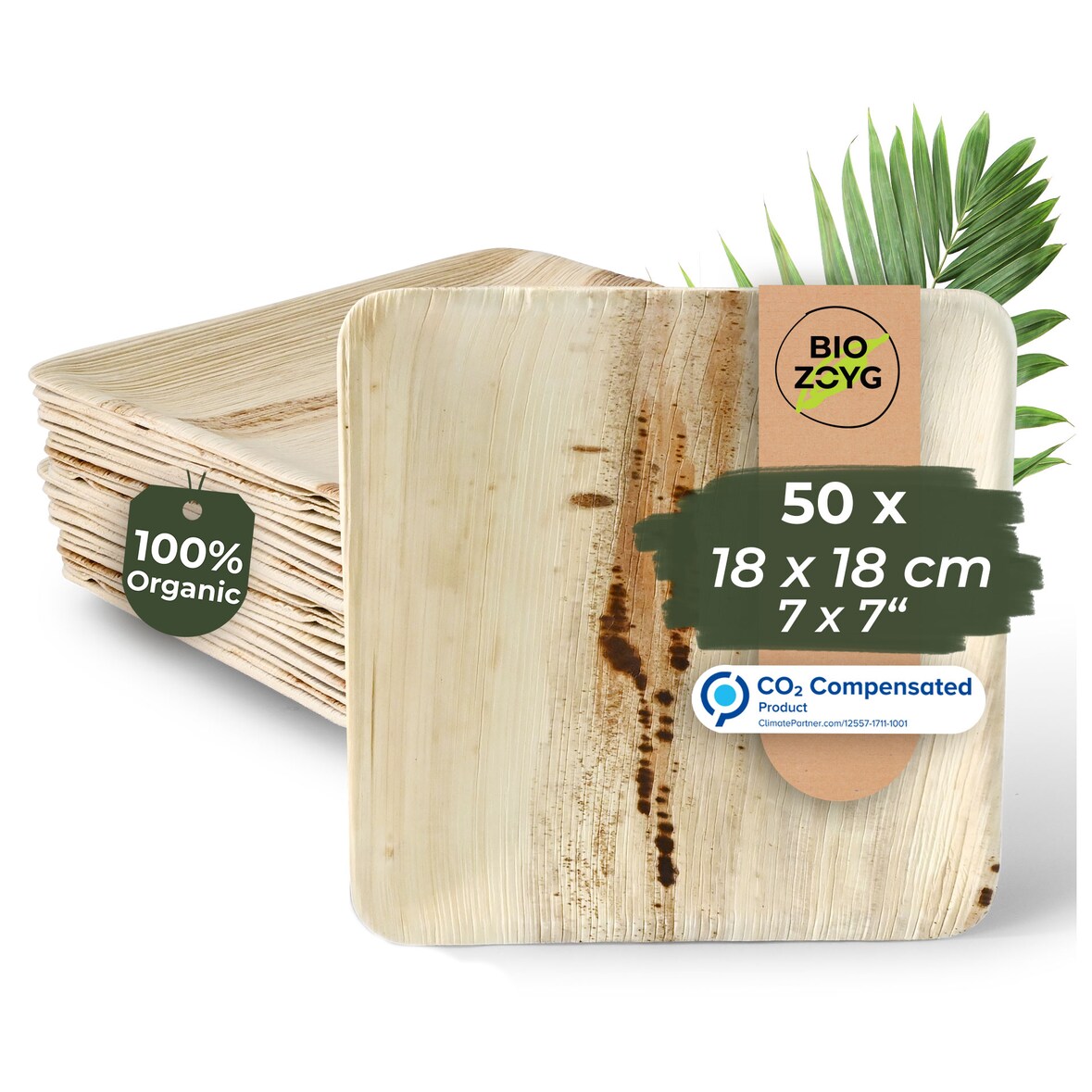 BIOZOYG 50 Stück Einwegteller 18x18cm Palmblatt-Teller, quadratisch, biologisch abbaubar, umweltfreundlich, kompostierbar, Wegwerfteller