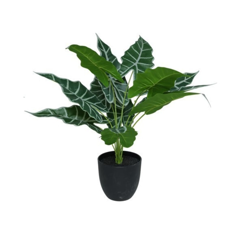 mobile_image
