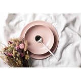 thumbnail of Seltmann Weiden Amina Tafelservice 12-teilig Rosé