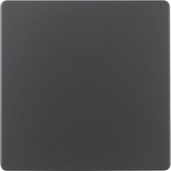 Berker Zentralplatte anth 75940485