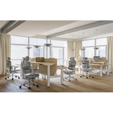 thumbnail of Ergonomischer Bürostuhl / Bürodrehstuhl mit Kopfstütze und Lendenwirbelstütze Business Chair, grau (1 Stück)