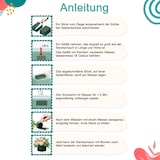 thumbnail of Nass Steckschaum Halbkugel 9x5cm mit selbstklebendem Klebepad Frischblumen Schnittblumen Steckmasse Steckschwamm Floristikbedarf Hochzeit Taufe Ostern