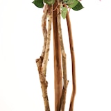 thumbnail of Árbol artificial Buganvilla 180cm | Naturing Monde - Interior - Tronco natural