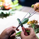 thumbnail of VICTORINOX Blumenmesser gerade Klinge 100 mm pastellgrün 3905047B1