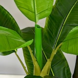 thumbnail of HOMCOM Banano Pianta in Vaso Pianta Finta per Interno ed Esterno 150cm
