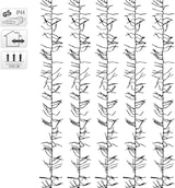 thumbnail of ECD Germany LED Cluster Lichterkette 14,5 m, 2016 LEDs warmweiß, IP44, Strom, Innen/Außen, Weihnachtsbeleuchtung