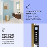 thumbnail of La Palma 750 smart 2-in-1 Heizgerät Infrarot Konvektor 85x60cm 750W Spiegelfront Antik-Gold-Metallic