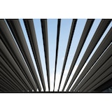 thumbnail of Cadiz Terrassenüberdachung 300x400x250cm