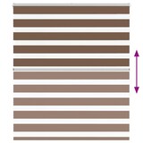 thumbnail of vidaXL Doppelrollo Braun 125x150 cm Stoffbreite 120,9 cm Polyester