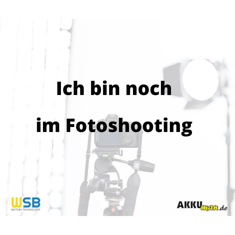 Akkupack 4,8V 2500 mAh C NiCd Notleuchten HT 20cm Kabel Stange L41NICD2500