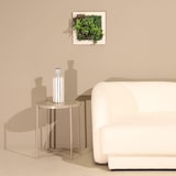 thumbnail of CUADRO VEGETAL ARTIFICIAL Naturing Monde ANNE - 33 x 33 cm