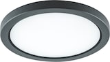 thumbnail of EVN Lichttechnik LED-Anbauleuchte DARG54151502
