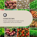 thumbnail of Modu Grow 50 Hochbeet 50 x 45 x 50 cm Kiefernholz kiefer Braun