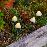thumbnail of Lumisky 10 Champignons solaires connectés CHAMPY 3.8M Plastique Blanc