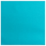 thumbnail of Pronappe - Réf.SV623828I - Carton de 1200 Serviettes ouate 2 plis - papier micro gaufré - 38 X 38 cm - 30 paquets de 40 serviettes Turquoise
