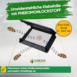 thumbnail of Wollkrautblütenkäfer Falle mit Pheromon-Lockstoff: 1