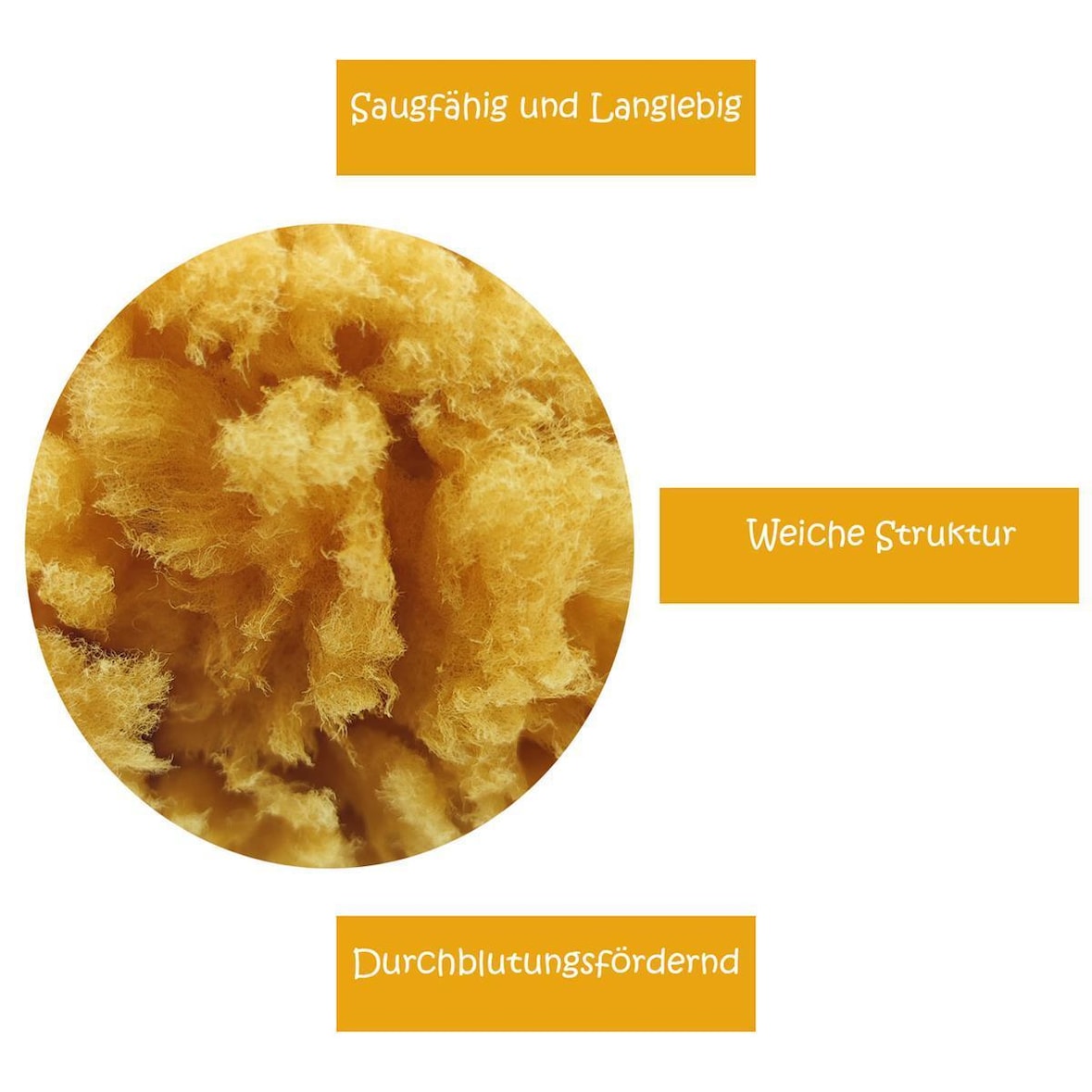 Naturschwamm Badeschwamm Meeresschwamm – Weich, saugfähig, langlebig, 3 Stück, Natur, ca. 140mm