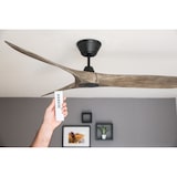 thumbnail of Eco Airscew 152, Ventilatore nero e grgio senza Luce, CasaFan