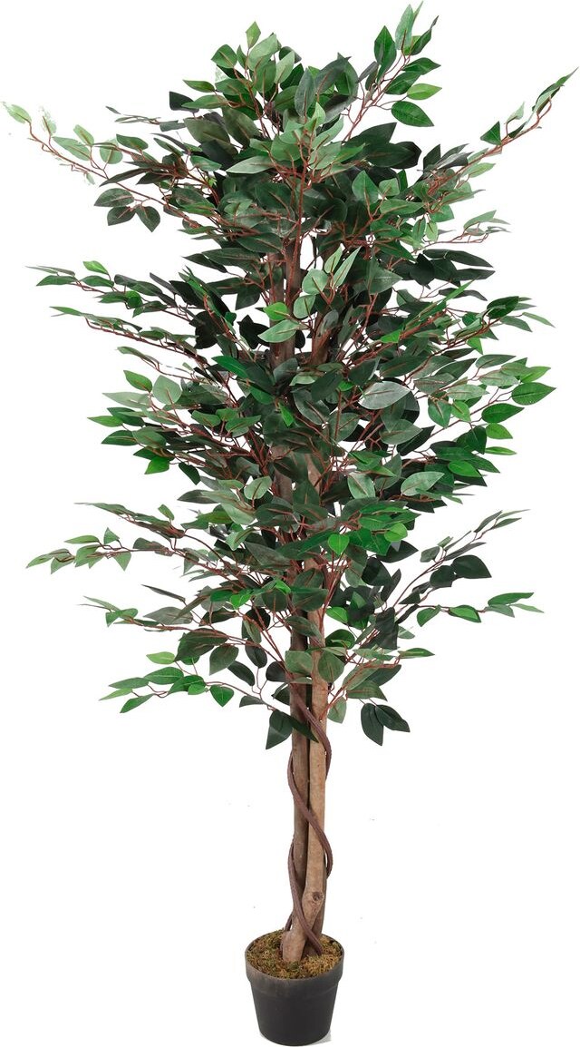 mobile_image