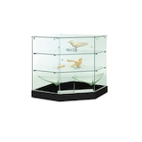 thumbnail of Vitrine d'exposition en verre trempe securise modele angle noir