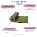 thumbnail of Pavimentos Arquiservi - Césped artificial caribe 33mm. / rollo 2 x 15m (30m²