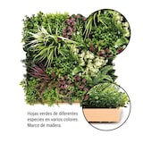 thumbnail of Bonerva | Jardín Vertical Maldivas | Pieza 50x50cm Con Marco | Planta artificial decoración oficina, hotel, restaurante| MAL1220