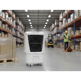 thumbnail of PURLINE Condicionador de ar evaporativo de alto fluxo RAFY 180