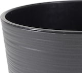 thumbnail of SIENA GARDEN  Locon Pflanzgefäß Locon, graphit Rillenoptik, Ø30x57 cm