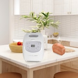 thumbnail of PRIXTON Panificadora La petite Bakery 19 Programas