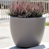 thumbnail of WellHome - Blumentopf Modell "Ordesa Collection" Ø40cm Zementfarbe