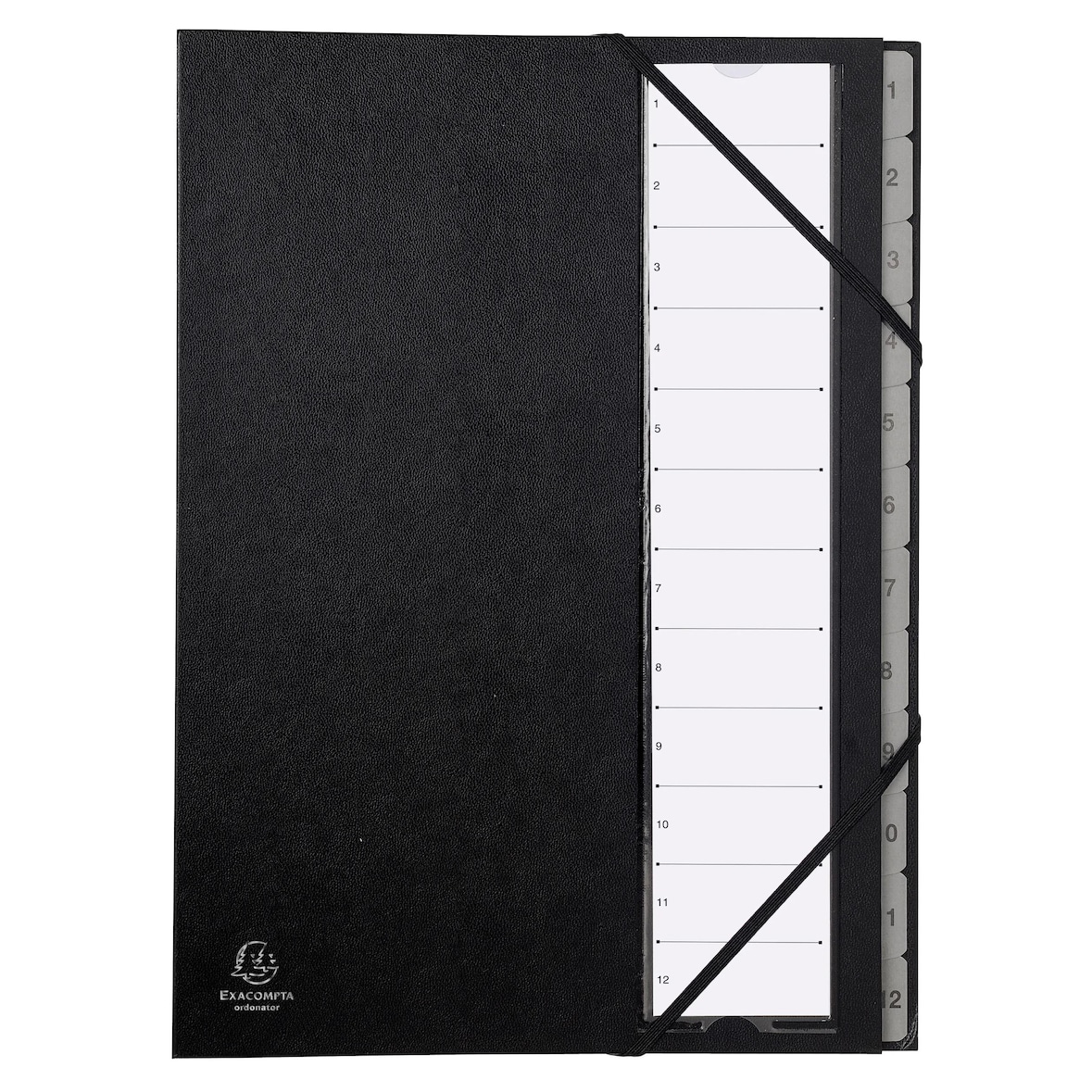 Exacompta - Réf. 56012E - Carton de 12 trieurs Ordonator -  12 compartiments - dim 23,5x 33,5 cm - pour A4 - couleur noir