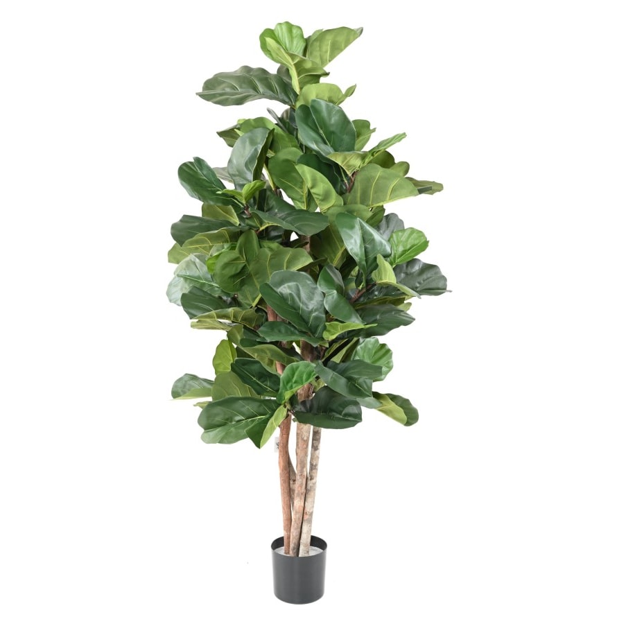 VERT ESPACE plante artificielle lyrata BL 180 cm