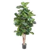 thumbnail of VERT ESPACE plante artificielle lyrata BL 180 cm
