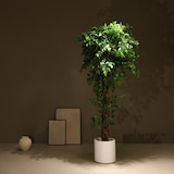 thumbnail of Pianta artificiale Ficus intrecciata 180cm | Naturing Monde - Interno - Tronco naturale