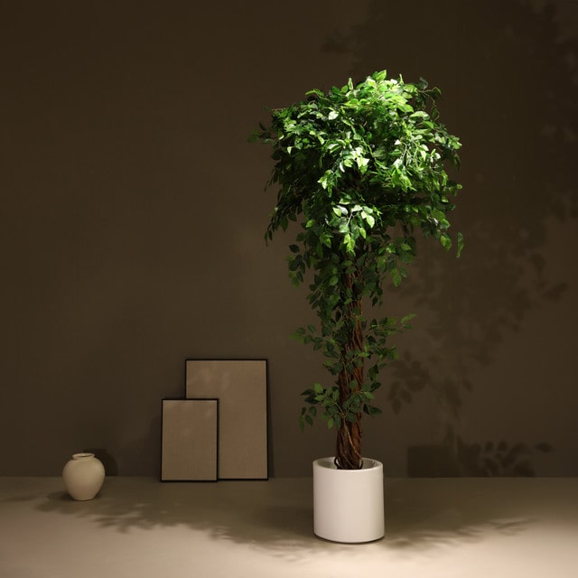 mobile_image