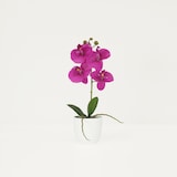 thumbnail of LIGNE DÉCO Orchidée artificielle fuchsia 35cm