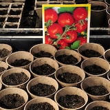 thumbnail of Relaxdays Anzuchttöpfe im 120er Set, biologisch abbaubar, Zellulose, HxD: 7,5 x 8 cm, runde Anzuchtgefäße, klein, natur