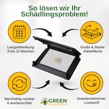 thumbnail of Wollkrautblütenkäfer Falle mit Pheromon-Lockstoff: 1