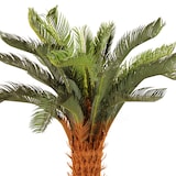 thumbnail of Piante artificiali Naturing Monde Cyca 105cm