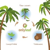 thumbnail of onlyleaf 50 Stück quadratische Einwegschalen Palmblattschalen 600 ml für Partys, umweltfreundliches Biogeschirr, Einmalgeschirr, biologisch abbaubar