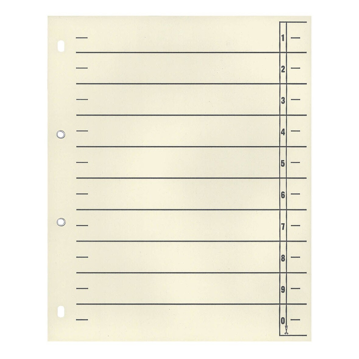 WEKRE 9561108100 Trennblätter - A4 Überbreite, chamois, 100 Stück, geöst