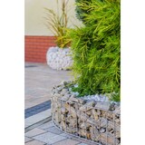 thumbnail of Wilk Gabionen-Beetabgrenzung Bogen, 75 x 20 x 11 cm, feuerverzinkt