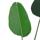 thumbnail of Outsunny Planta Artificial de Decoração Planta Palmeira Artificial com Vaso 10 Folhas para Exterior e Interior Ø18x180cm Verde