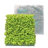 thumbnail of GeckoParete "ULM" | Parete vegetale verde fiori premium | Rivestimento boiserie gastronomia | Montaggio piante artificiali | Pannelli murali muschio