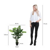thumbnail of Mica Decorations Dieffenbachia - Kunstpflanze - H 120 cm