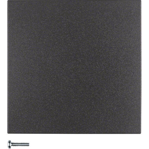 Berker Taste 1fach 85141185