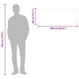 thumbnail of vidaXL Küchenrückwand Transparent 100×40 cm Hartglas