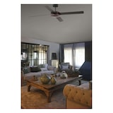 thumbnail of POLEA L Ventilatore marrone DC