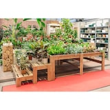 thumbnail of HORTALIA Expositor escalera de Madera PODIUM